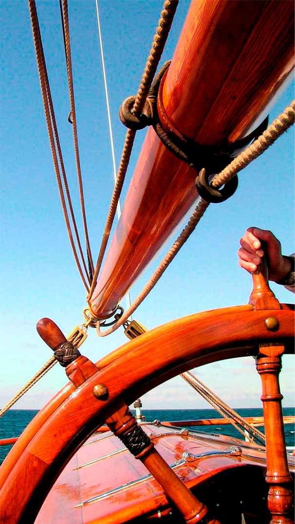 Descripción de la imagen